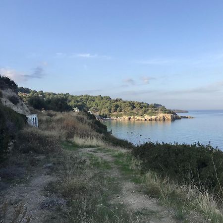이즈미르 Tiny House Framed By Nature Near Sea In Karaburun 빌라 외부 사진